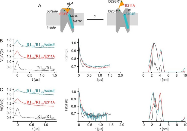 FIGURE 9.