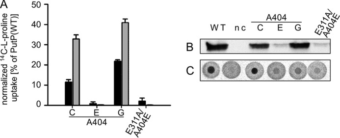 FIGURE 7.