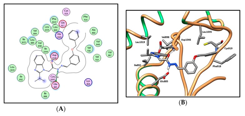 Figure 11