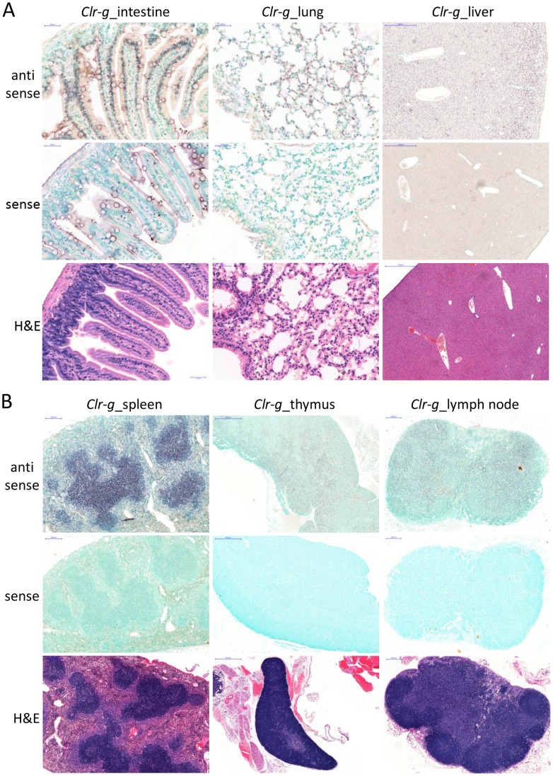 Figure 10