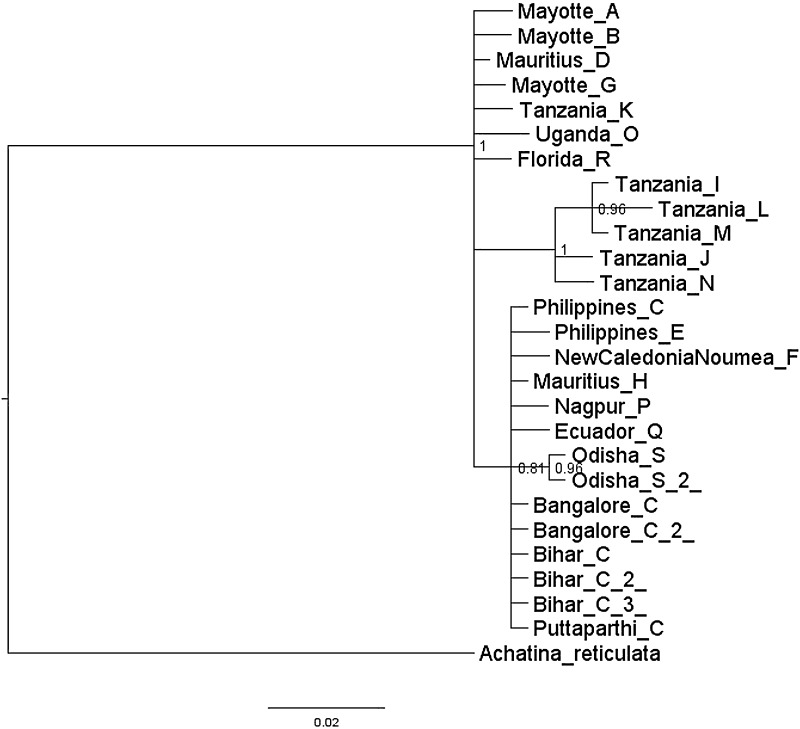 Fig. 8