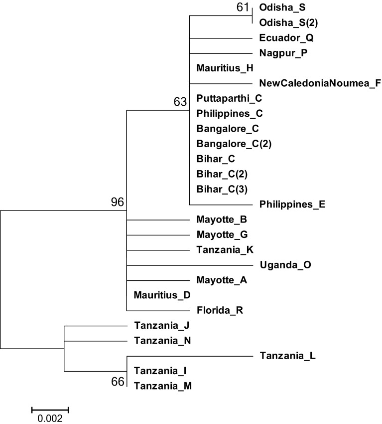 Fig. 6