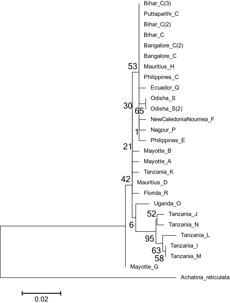 Fig. 7