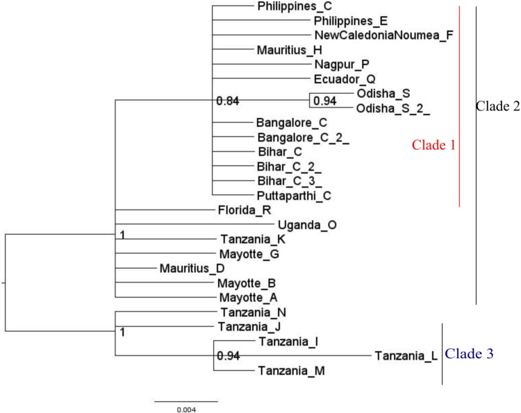 Fig. 5