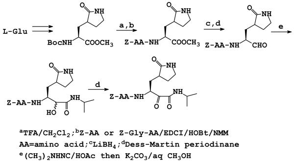 Scheme 1