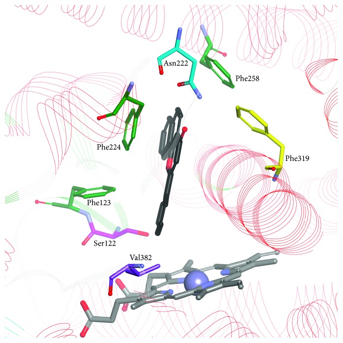 Figure 2