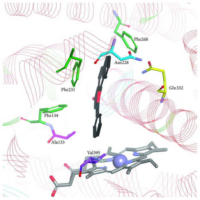 Figure 4