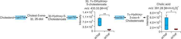 Fig. 6.