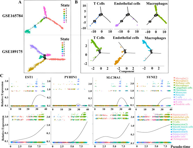 Exploring The Hepatic-ophthalmic Axis Through Immune Modulation And 