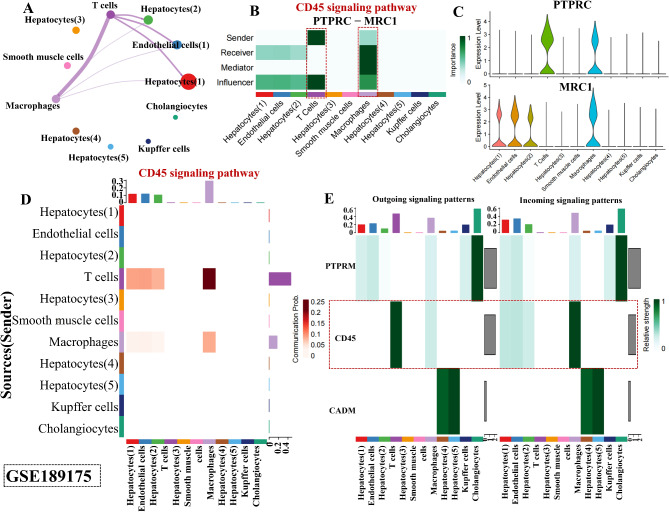 Exploring the hepatic-ophthalmic axis through immune modulation and ...