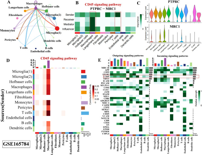 Exploring the hepatic-ophthalmic axis through immune modulation and ...