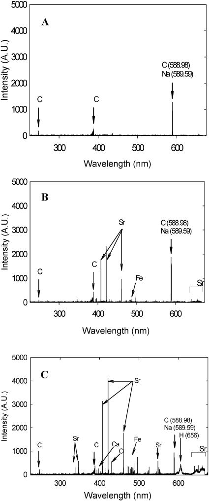 FIG. 5.