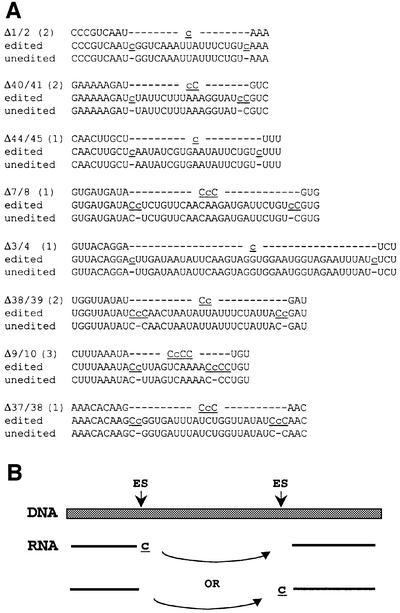 graphic file with name cdf610f4.jpg