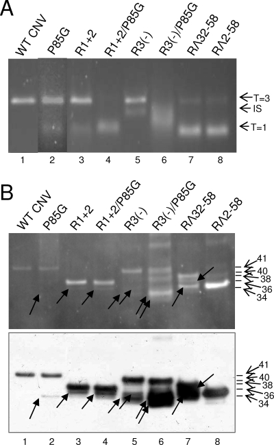 FIG. 6.