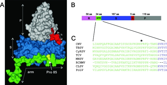 FIG. 1.