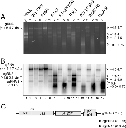 FIG. 7.