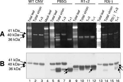 FIG. 8.