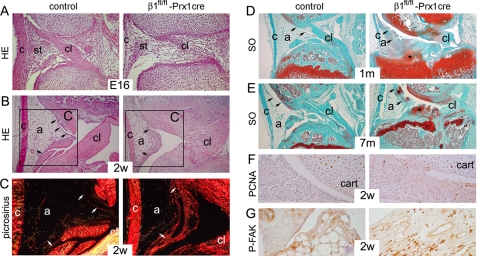 FIGURE 9.