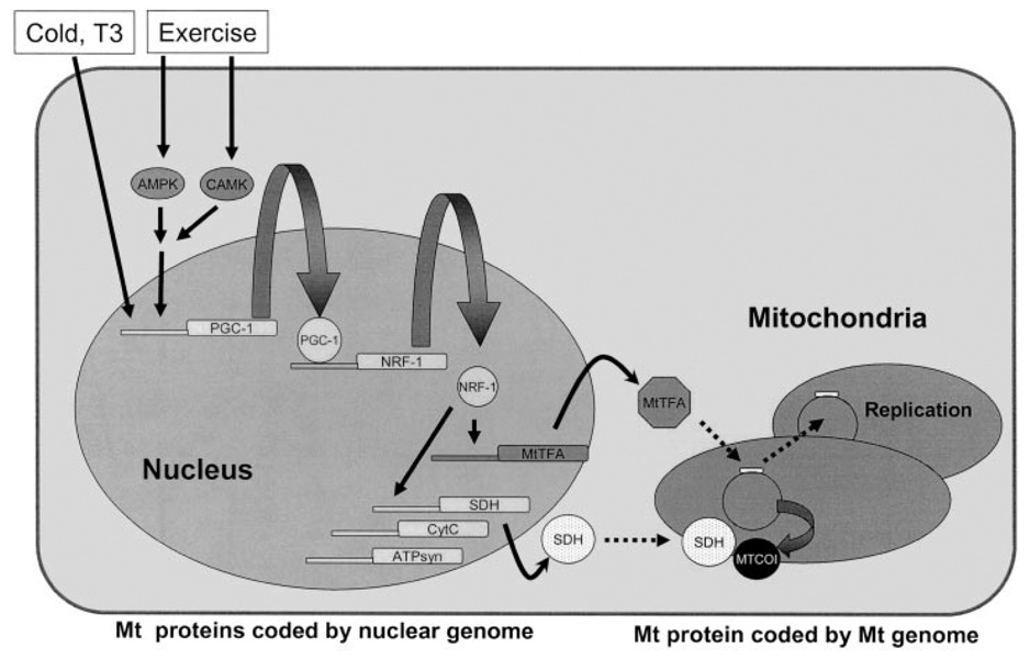 FIG. 3