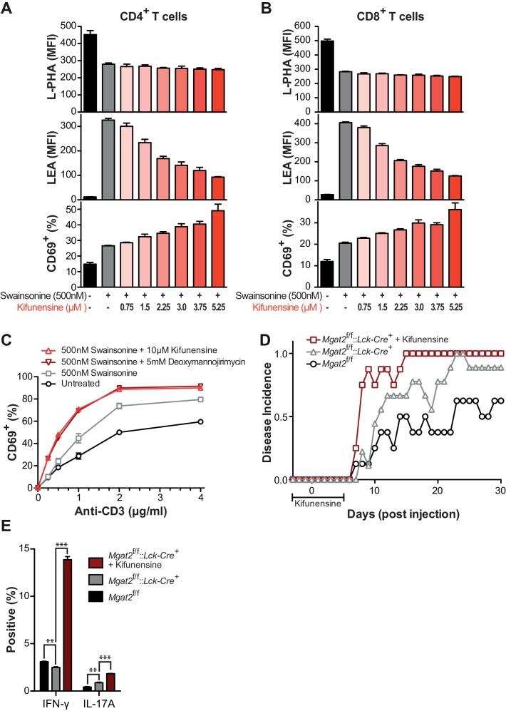 Figure 3—figure supplement 1.