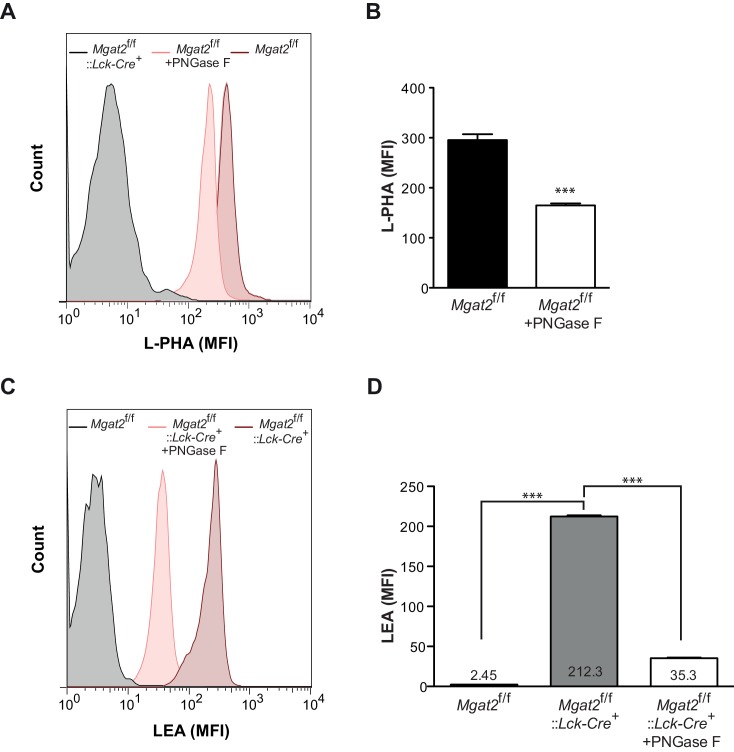 Figure 2—figure supplement 1.