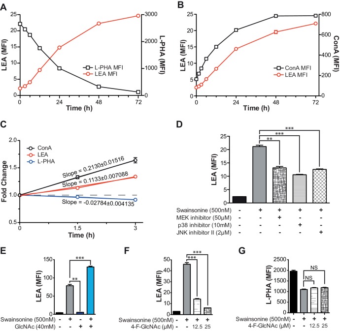 Figure 4—figure supplement 1.