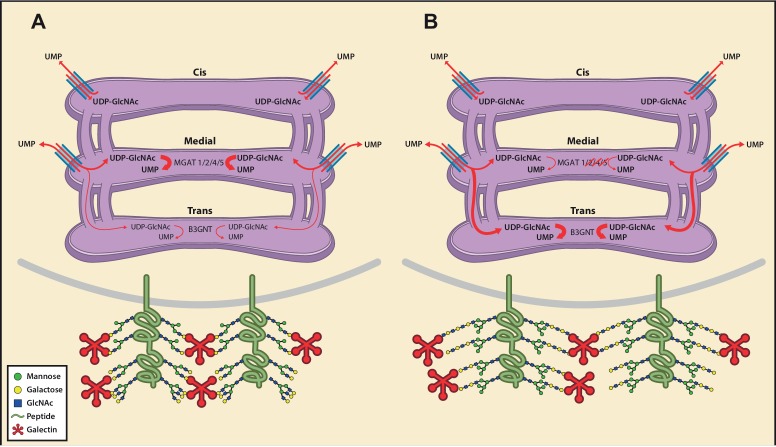 Figure 7.