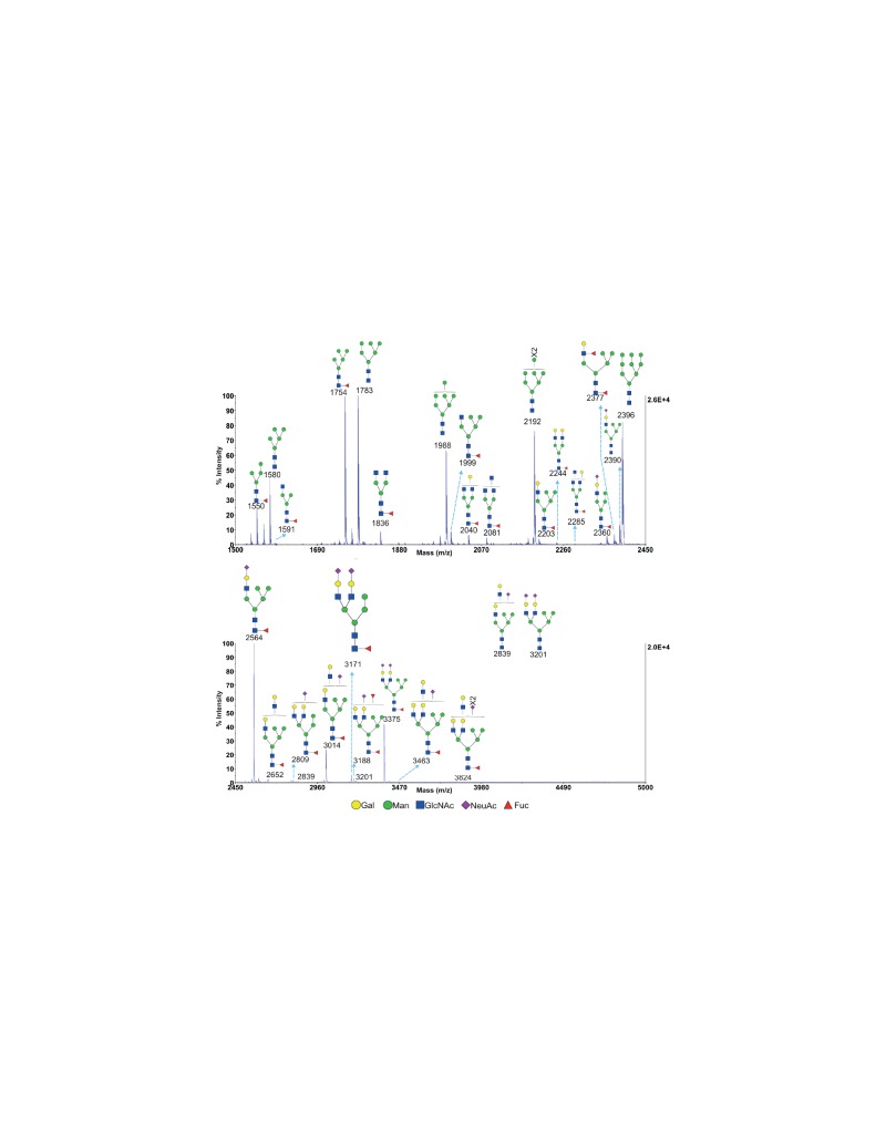 Figure 2—figure supplement 2.