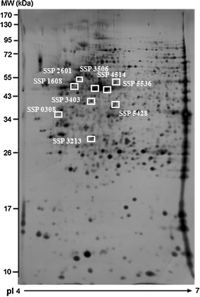 Fig. 3