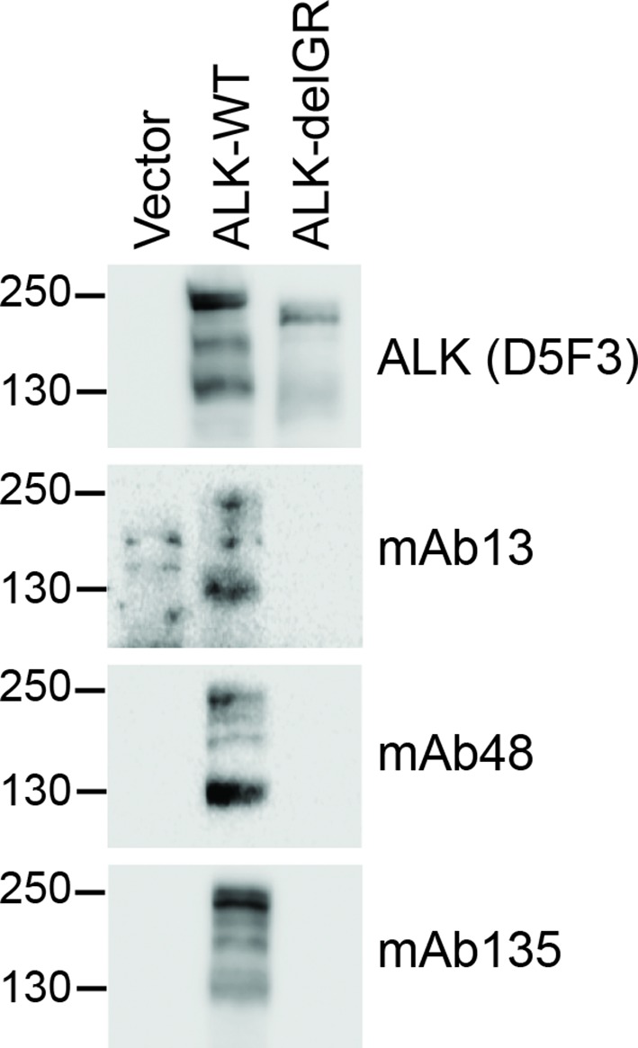 Figure 4—figure supplement 6.