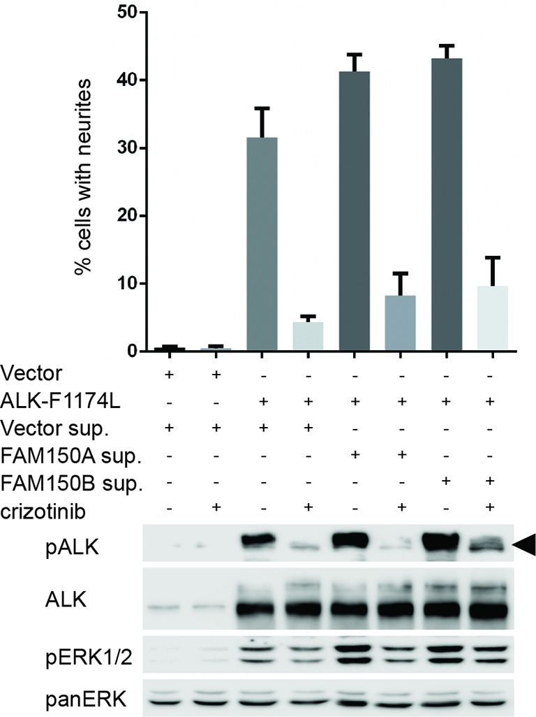 Figure 4—figure supplement 7.