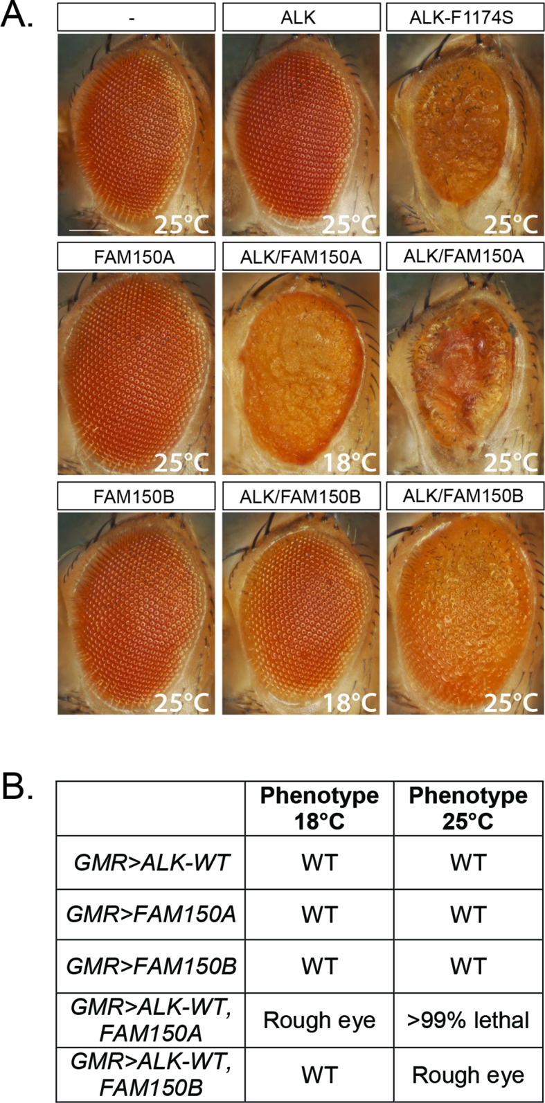 Figure 3.