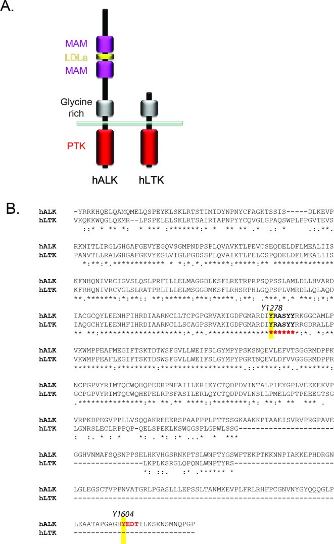 Figure 1—figure supplement 2.