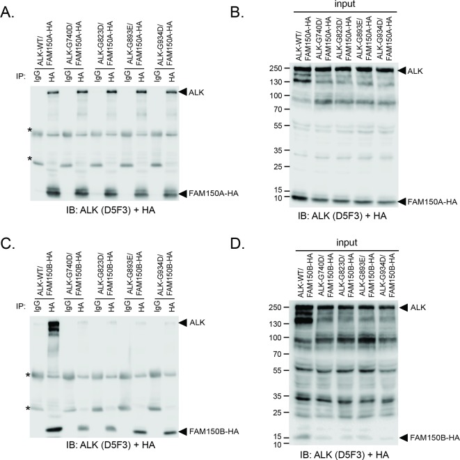 Figure 4—figure supplement 5.