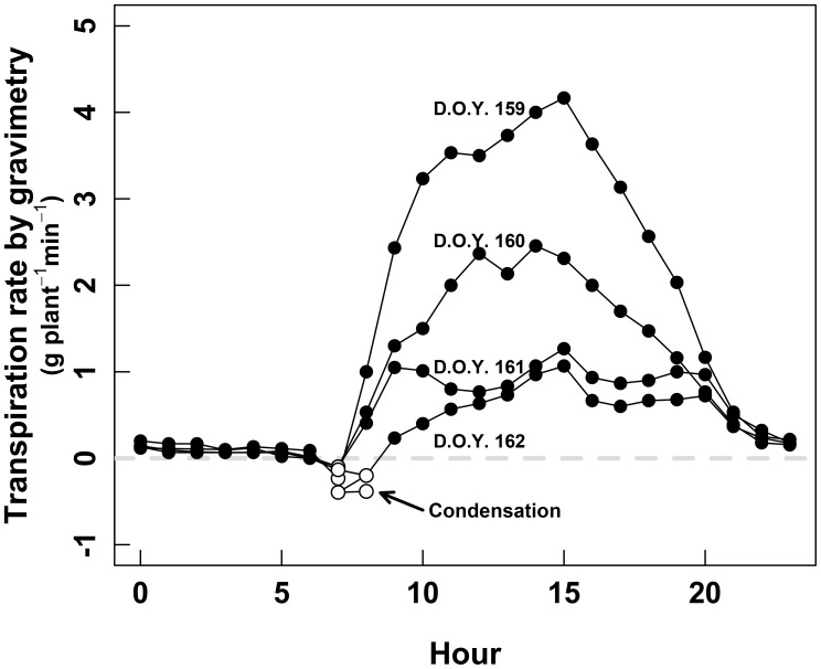 FIGURE 4