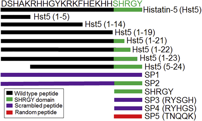 Figure 1