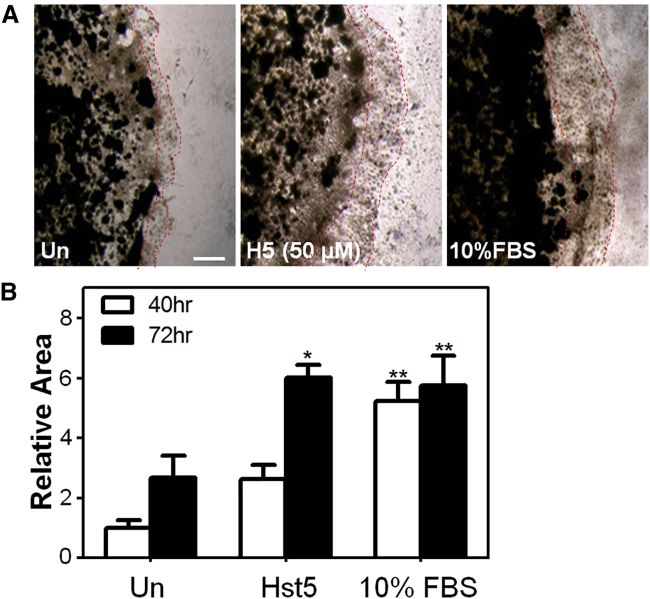 Figure 2