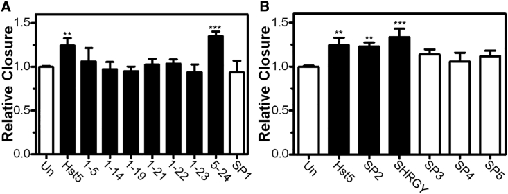 Figure 5