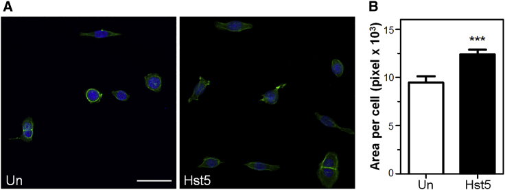 Figure 6