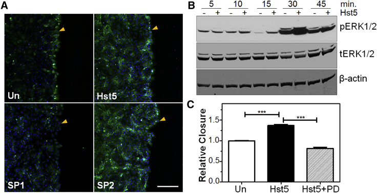 Figure 7