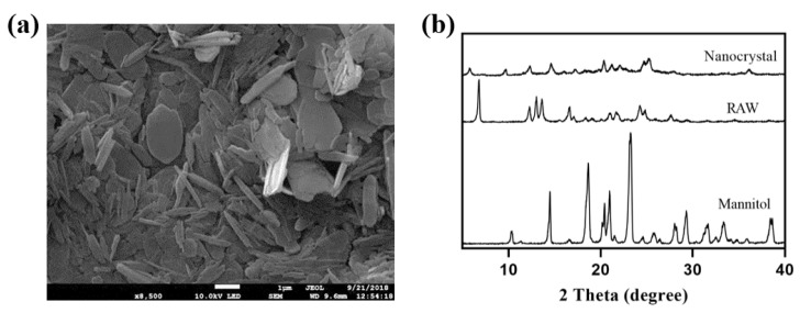 Figure 10