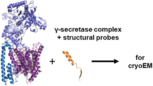 graphic file with name nihms-1786767-f0001.jpg