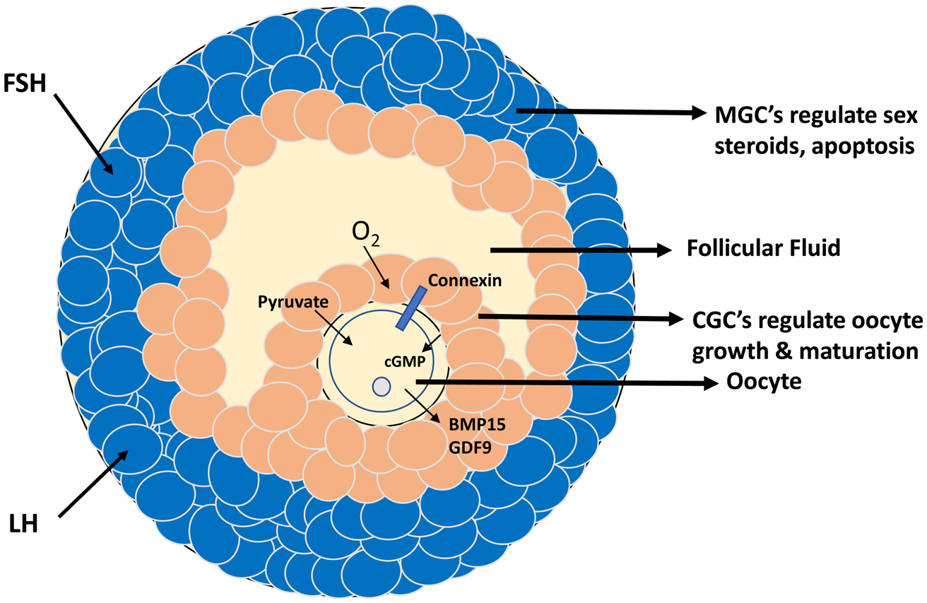 Fig. 5.