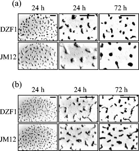 FIG. 5.