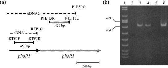 FIG. 3.