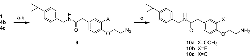 Scheme 2