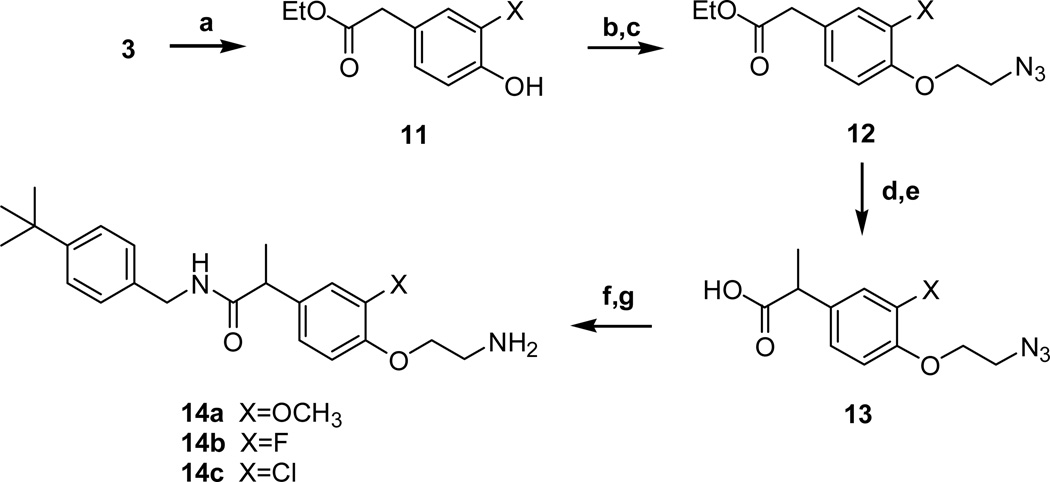 Scheme 3