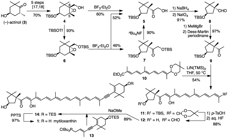 Scheme 1