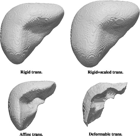 Fig. 5