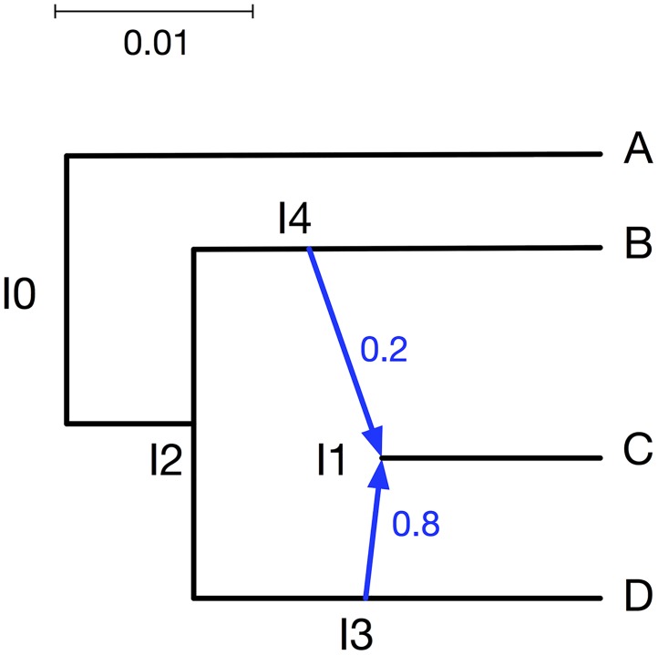 Fig 12